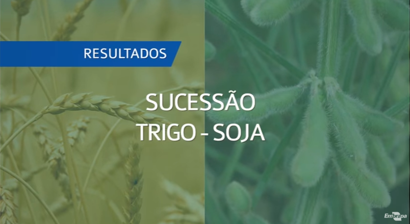 Somos parceiros da Embrapa no projeto Sucessão Trigo-Soja